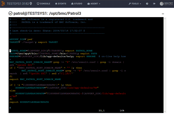 Interactive command prompt to remotely diagnose the agent