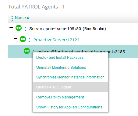 Performing an Agent Query