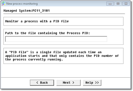 WIZ_ProcessMonitoring_4PID