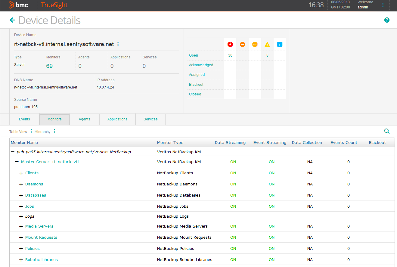 Displaying the Veritas NetBackup Instances