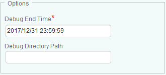 Setting the Debug End Time and Directory Path